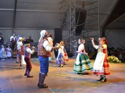 Festival de Folkore en Mula